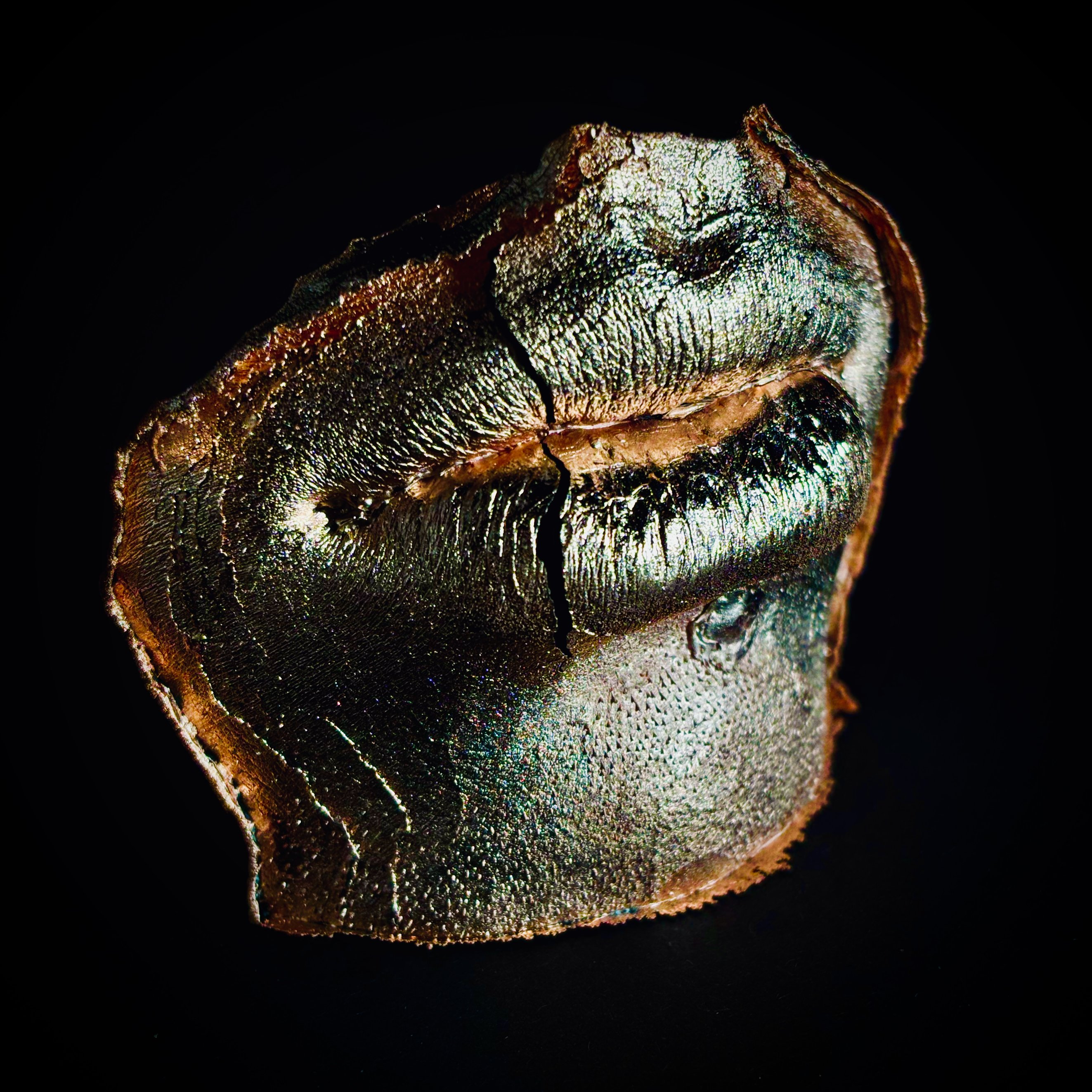 Cracked Lips grown copper and human hair sculpture