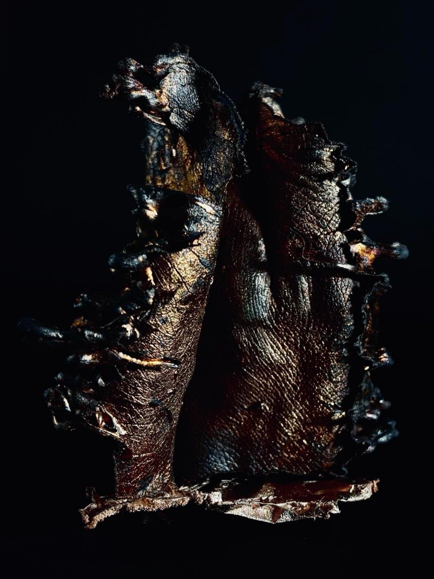 Dark detail of unframed grown copper fingers