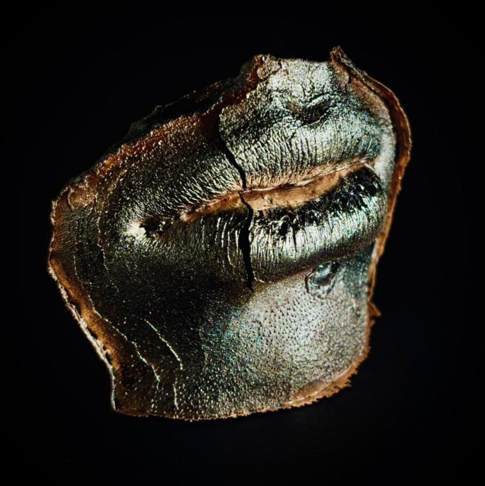 Cracked Lips grown copper and human hair sculpture